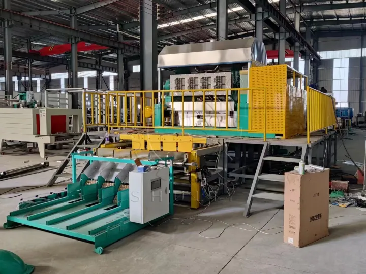 Egg Tray Making Business