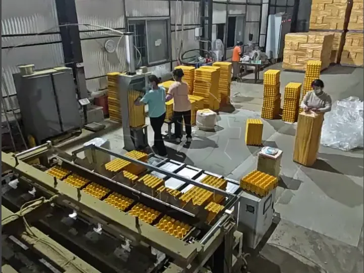 Egg Tray Manufacturing Plant Cost