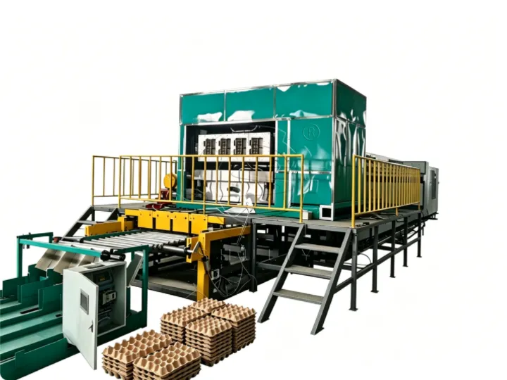 Egypt Customer Started a Paper Packaging Project with Shuliy Egg Tray Making Machine