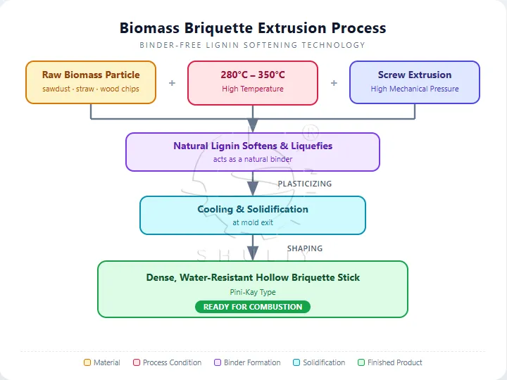Biomass Briquette Extrusion Process